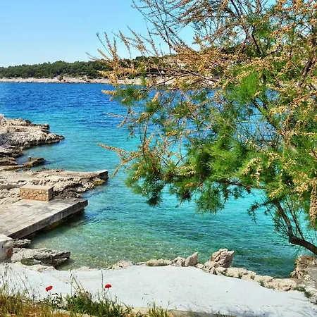 Appartement By The Sea Bilo, - 8364 Primošten